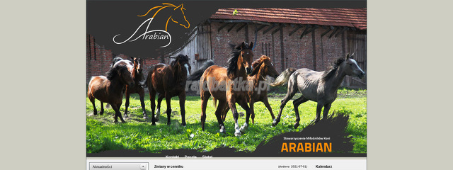 stowarzyszenie-milosnikow-koni-arabian